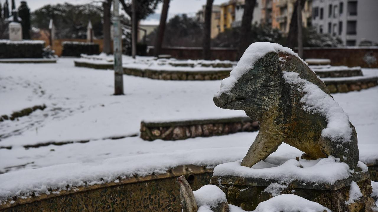La nevicata del 2018 a Grosseto (foto Agenzia Bf)