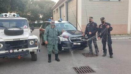 Pescatori di frodo provano a scappare, bloccati e sanzionati