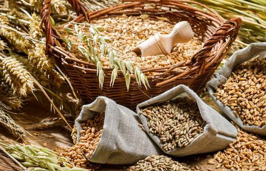 Ecco il molino per lavorare i grani antichi 