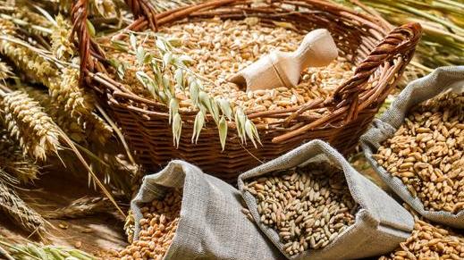 Ecco il molino per lavorare i grani antichi