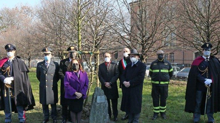 Una targa e un albero in memoria di Palatucci
