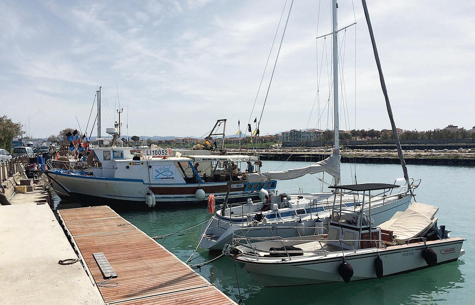 Imbarcazioni ormeggiate sulla banchina del porto di Cecina (foto Falorni)