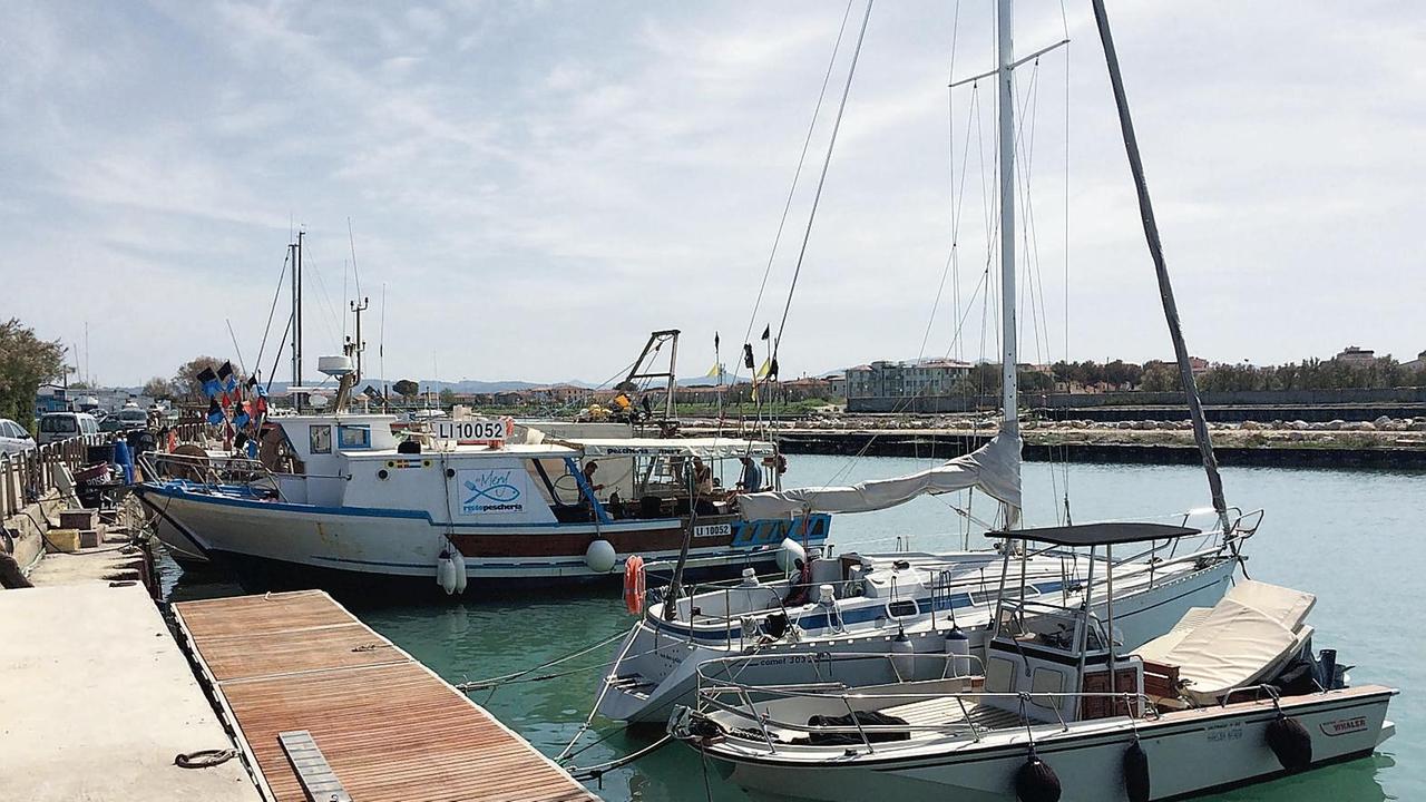 Imbarcazioni ormeggiate sulla banchina del porto di Cecina (foto Falorni)