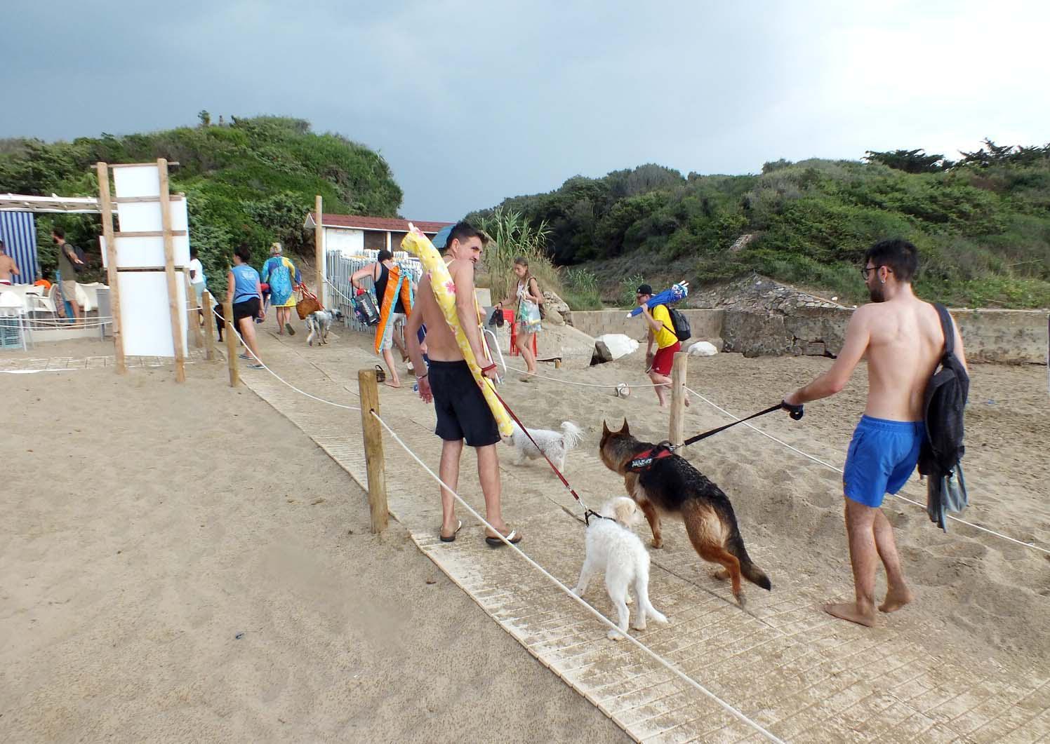 La spiaggia per cani Dog beach a San Vincenzo (foto Paolo Barlettani)
