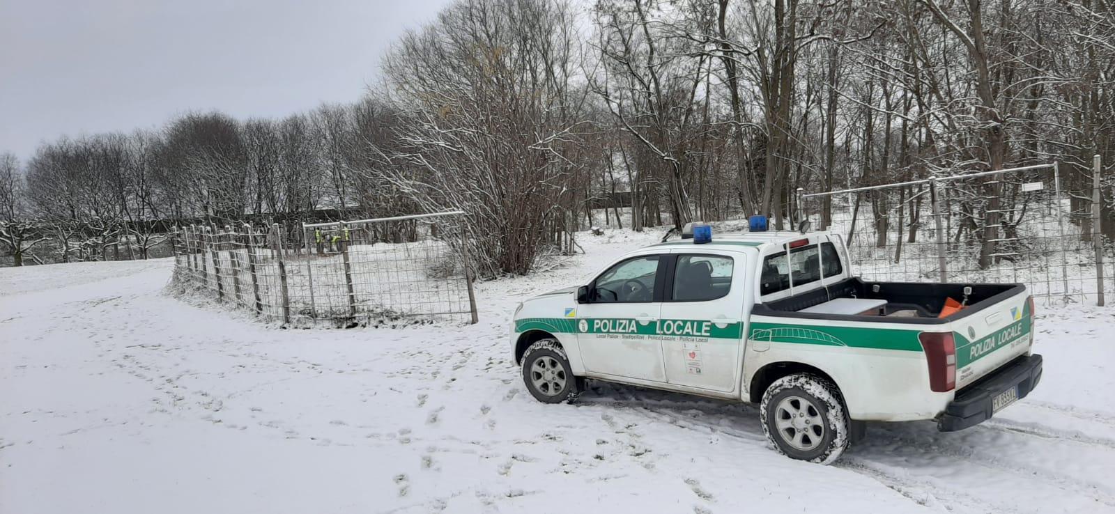 San Cesario, la guardia provinciale salva un gruppo di caprioli rimasti intrappolati 