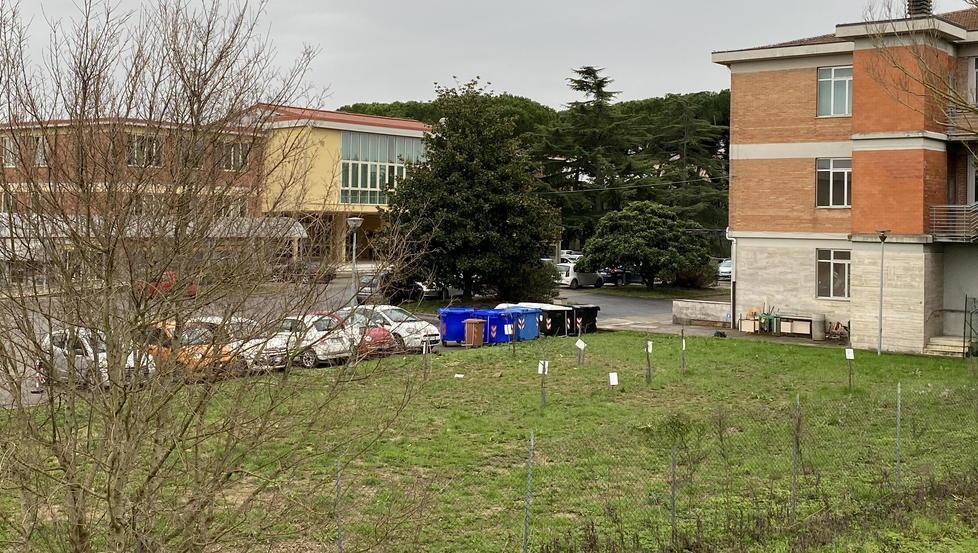l’area interessata dal nuovo progetto (Foto Franco Silvi)