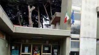Carrara, si rompe il riscaldamento, lezioni da casa al liceo delle scienze umane Montessori