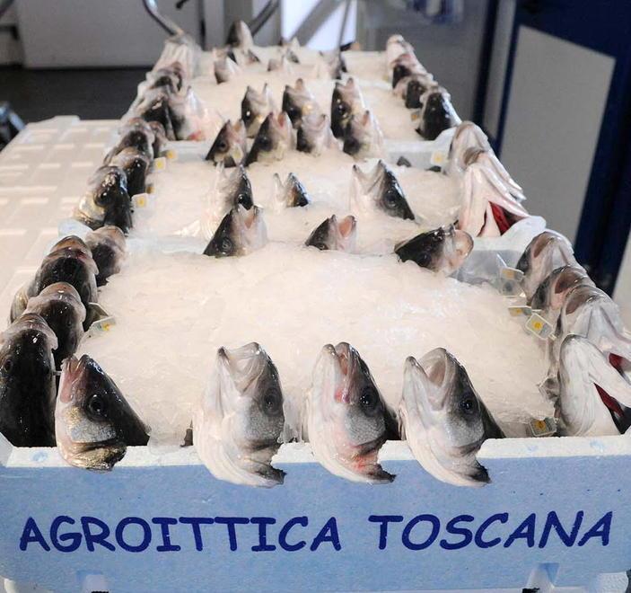 Un’azienda con 64 dipendenti e un forte impulso all’indotto