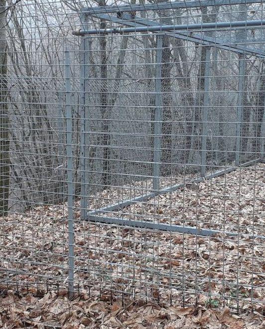 Pastorelli visita il Parco «Ma il lupo qui no»