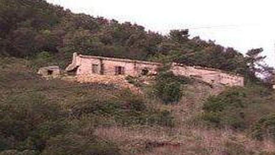 Già 3.500 firme per il canile dell’Elba