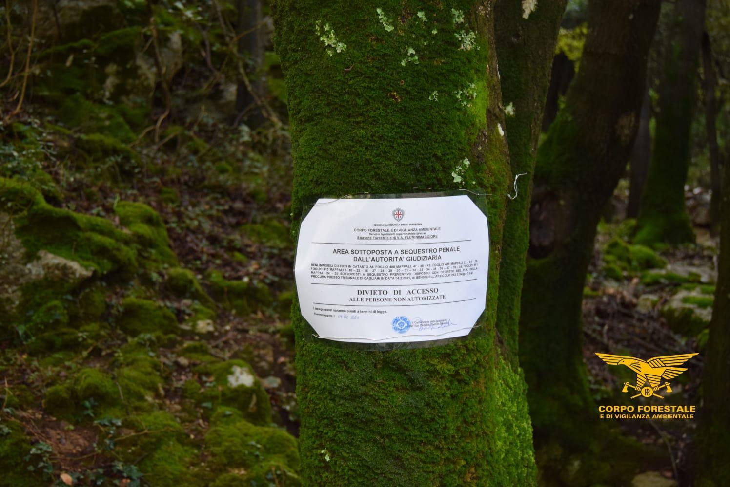 Si impossessano di 260 ettari di bosco con le case minerarie ristrutturate: denunce a Fluminimaggiore