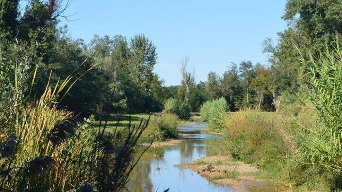 Prima assemblea di bacino Contratto di fiume al via