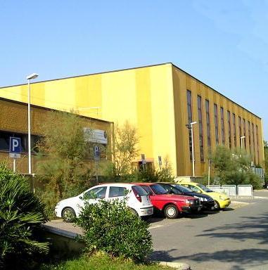 Il carnevale in piazza bloccato da un esposto «Ma non c’erano rischi» 