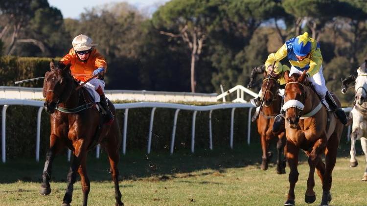 L’ospite francese Edinson vince la 73ª Gran Siepi Nazionale a San Rossore