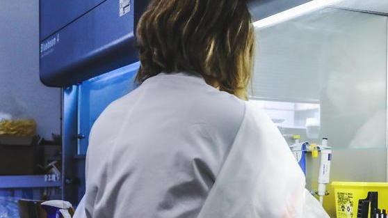 Covid, sette nuovi positivi dopo gli ultimi tamponi