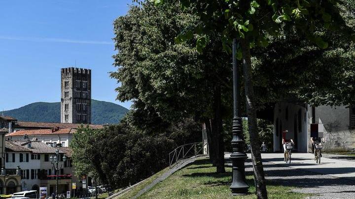 Ringhiere anti-caduta