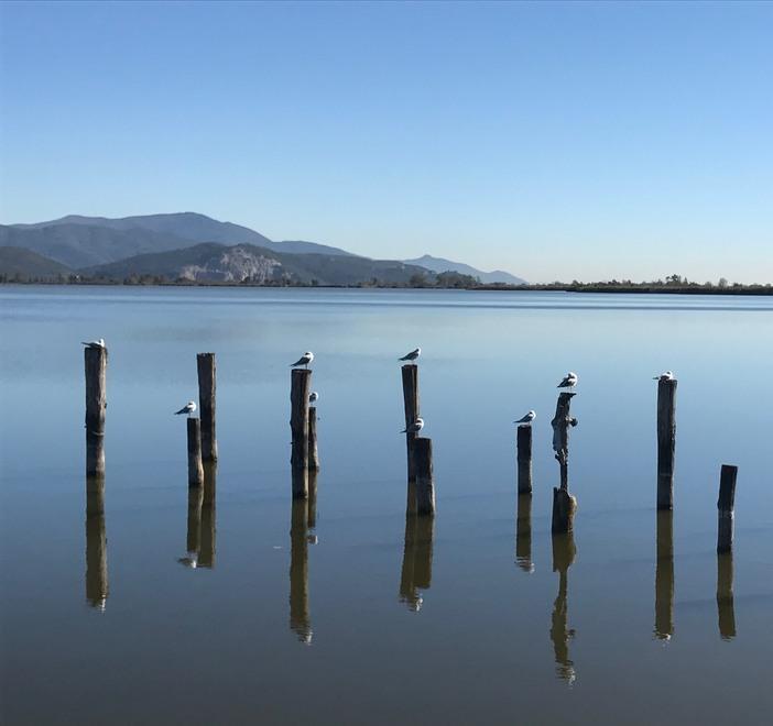 Università e Autorità di Bacino studiano il lago di Massaciuccoli 