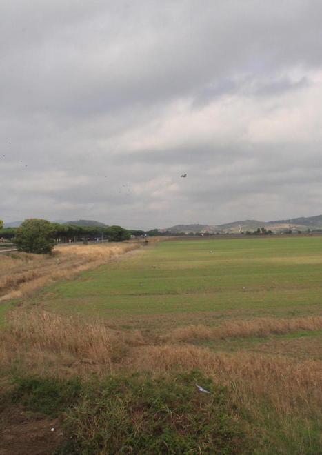 Campo Regio Due ditte locali in lizza per i lavori