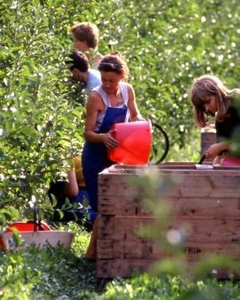 Lei, le aziende agricole si occuperanno di tutela del territorio