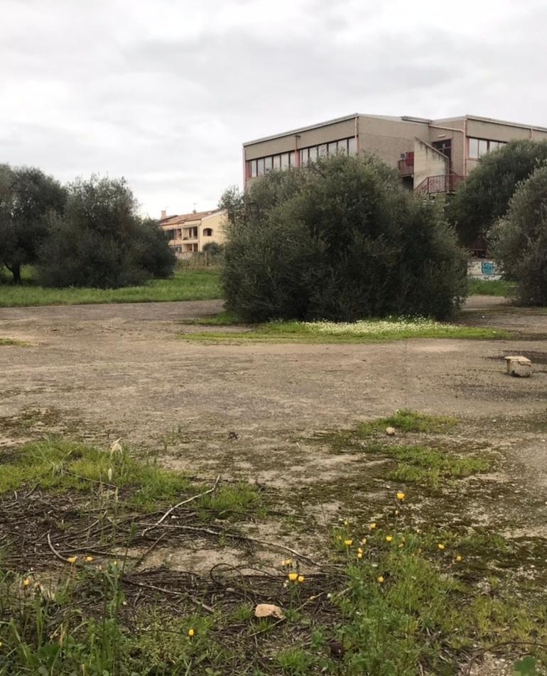 La prima foresta urbana al Liceo scientifico Fermi 