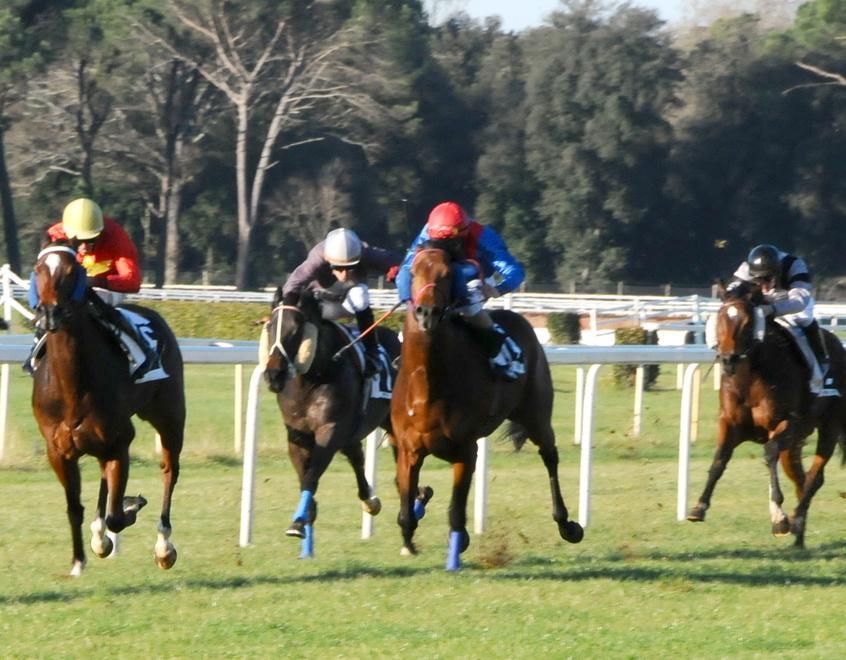 A San Rossore dopo i salti si torna alle corse in piano Riflettori sul premio Ansoldi