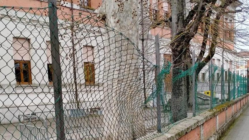 Scuole Montessori Recinzione e cortile vanno sistemati
