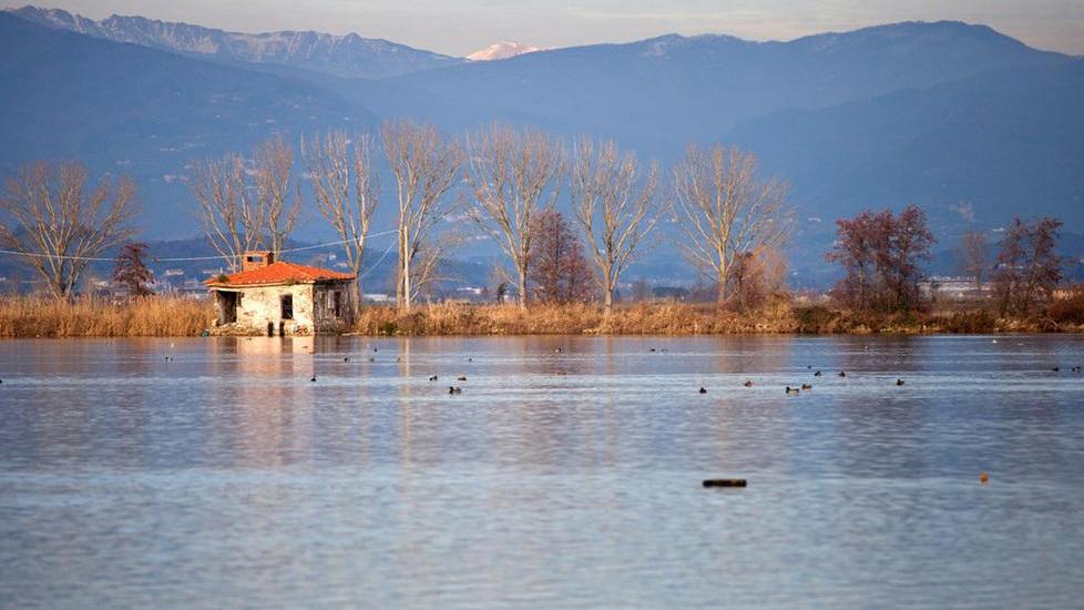 Il Comune di Capannori vuole il lago della Gherardesca