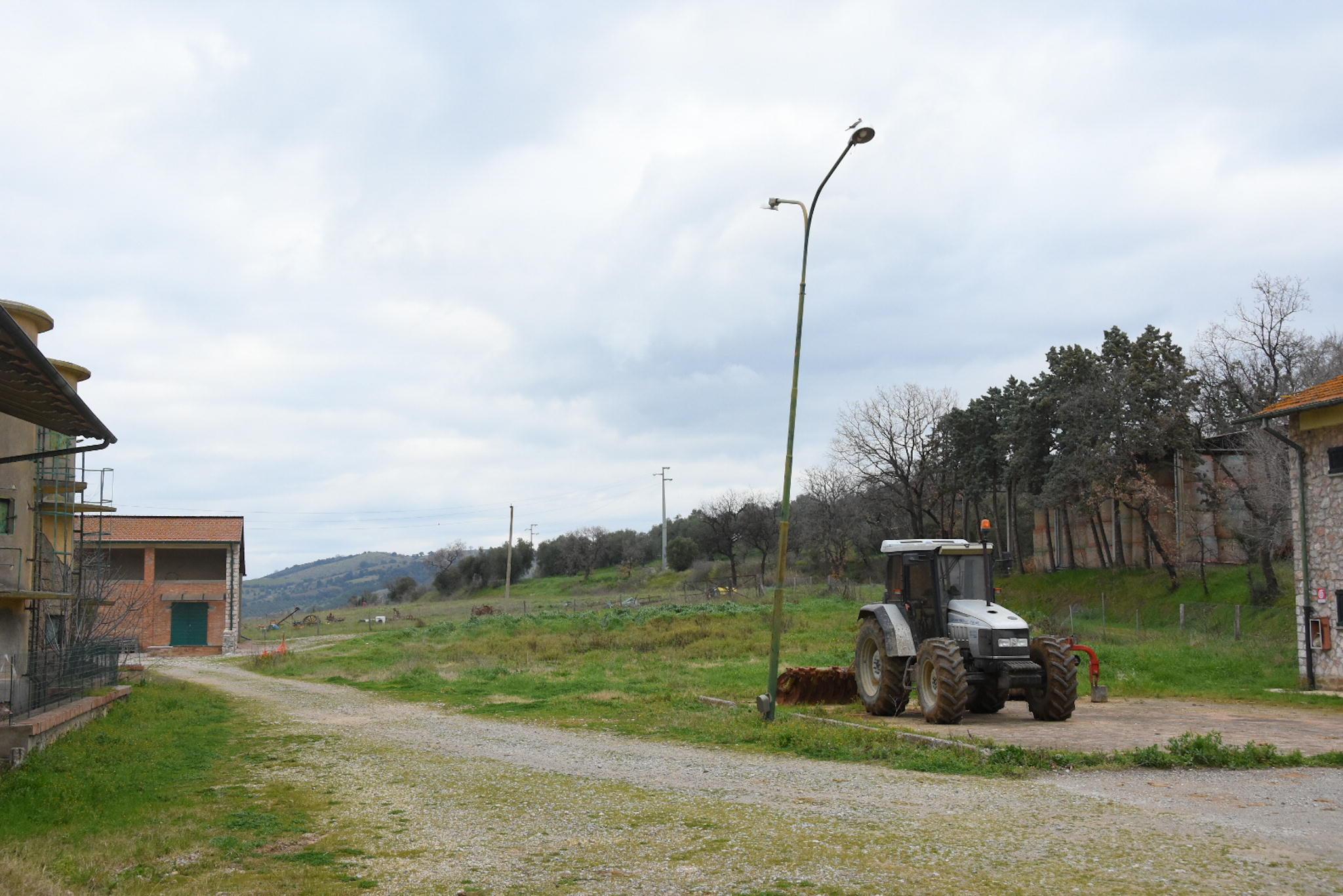 Rispescia, ex Enaoli: ecco dove sorgerà la sede del Polo agroalimentare (Foto Agenzia Bf)