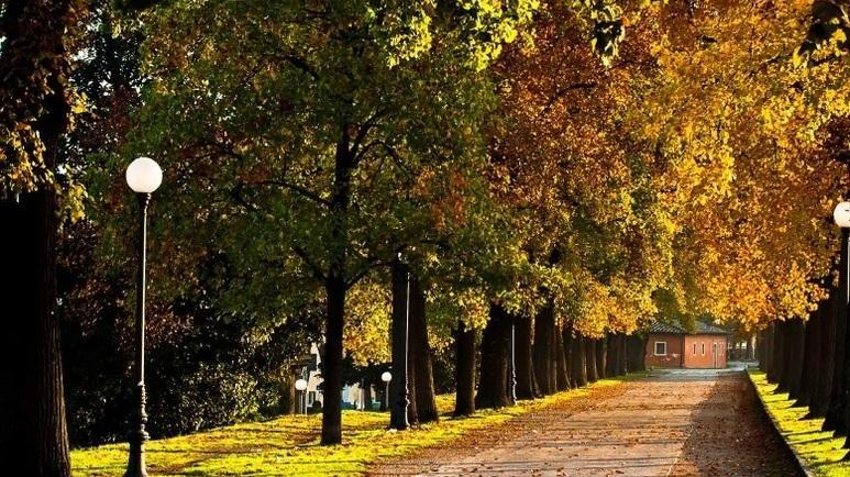 Petizione contro le ringhiere sulle Mura
