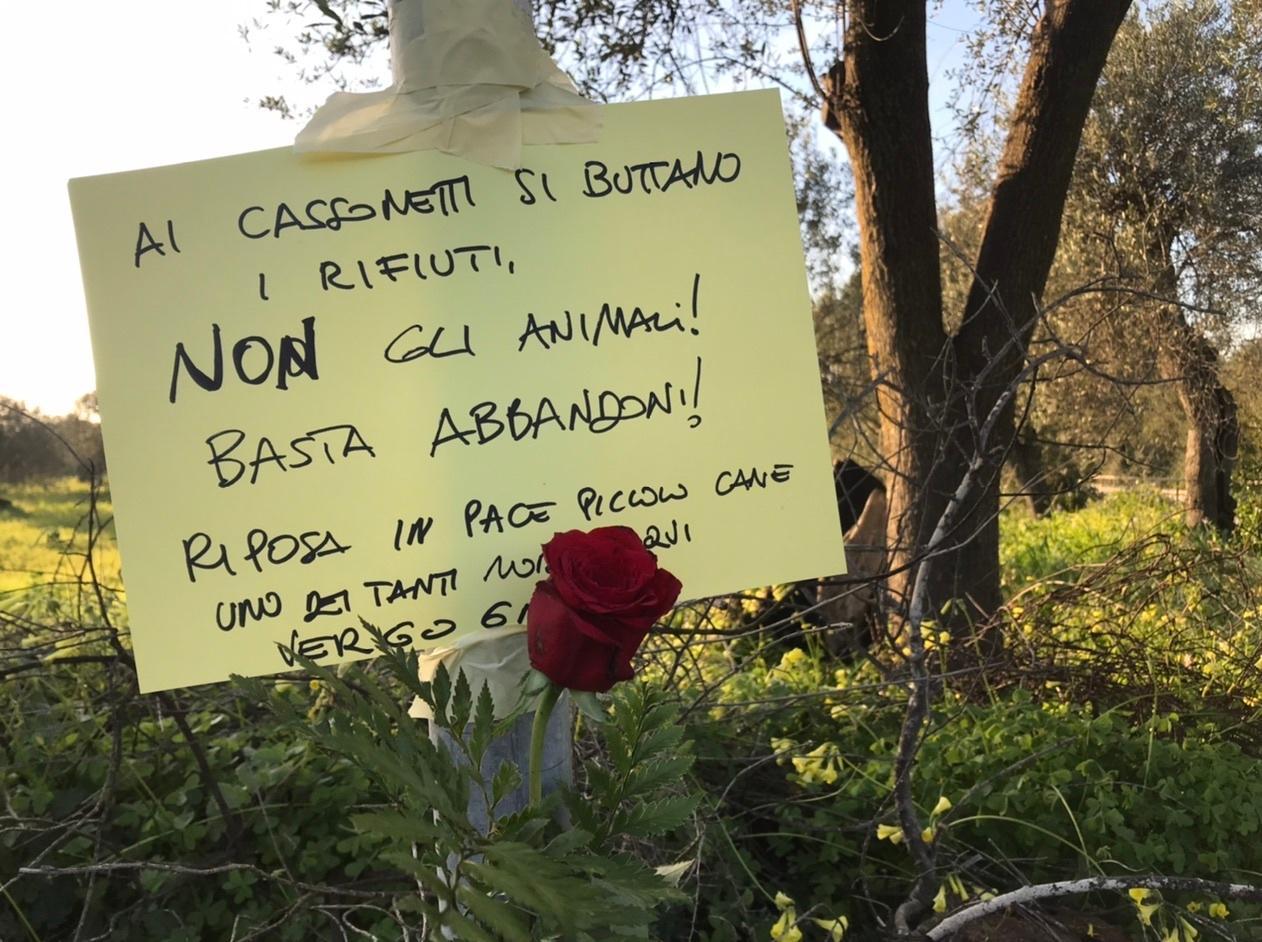 Alghero, morto il cane abbandonato in un cassonetto dei rifiuti 