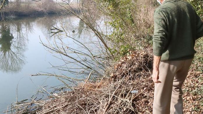 Le nutrie dilagano a Monestirolo: «Orti distrutti e nessuno interviene»