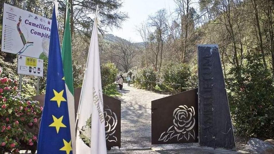 Mostra delle camelie: ora ci sono le date e il programma, ma anche un’incognita