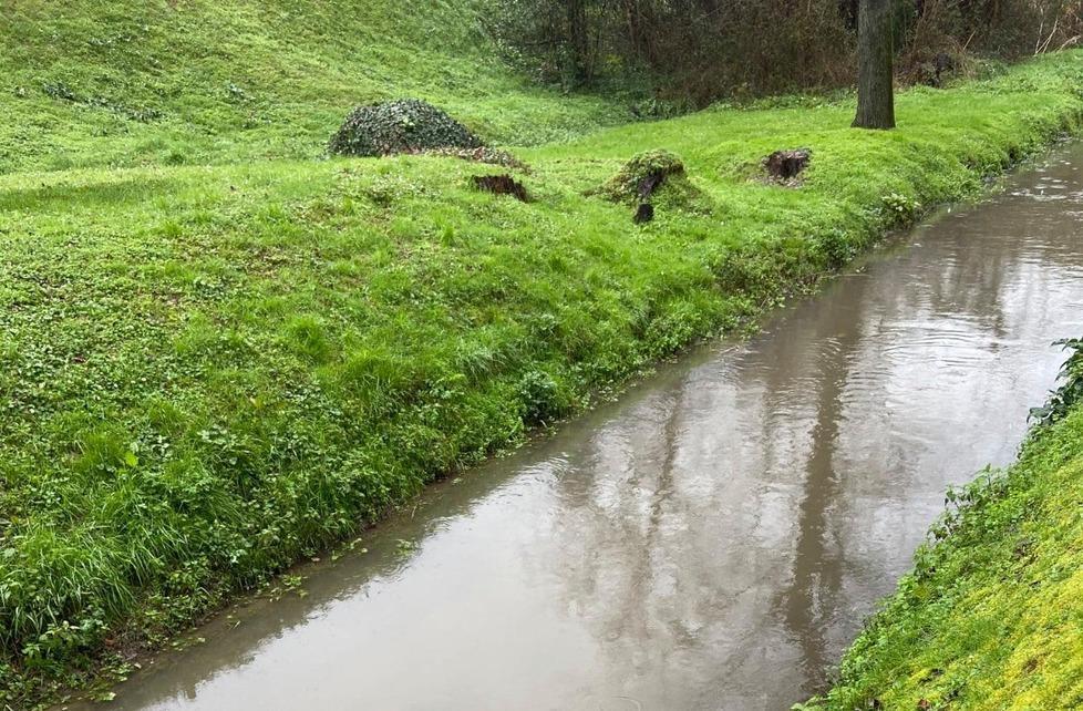 Gli argini della Fossa dell’Abate distrutti dalle tane di nutria