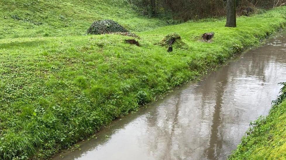 Gli argini della Fossa dell’Abate distrutti dalle tane di nutria