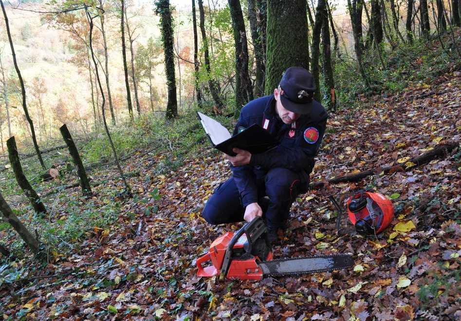 La Forestale denuncia boscaiolo “abusivo” e titolare della ditta
