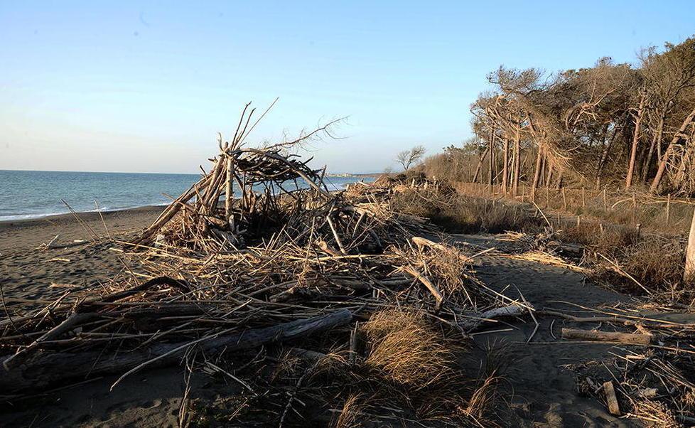 La spiaggia di Marina di Bibbona dov'è avvenuta la presunta violenza sessuale di gruppo