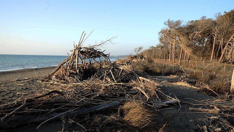 La spiaggia di Marina di Bibbona dov'è avvenuta la presunta violenza sessuale di gruppo