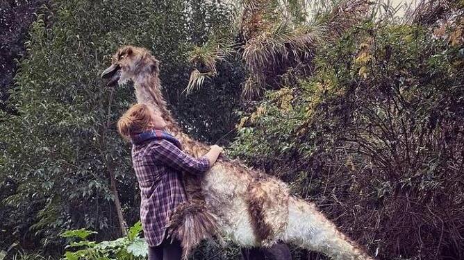 Bonascola come Jurassic Park Ecco il mondo di Mariaelena