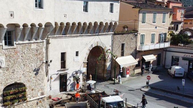 Alberi e arredi, i dubbi su piazza Carducci