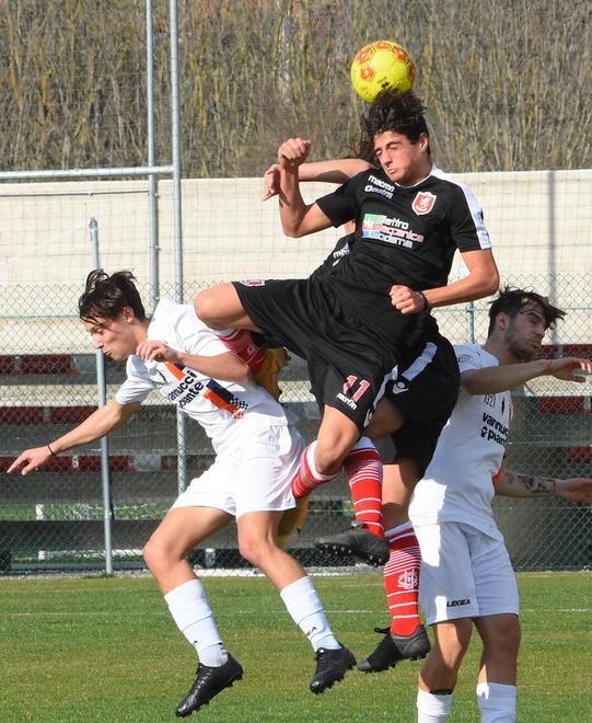 Ripartenza sprint per i grifoncini Partita già chiusa nel primo tempo