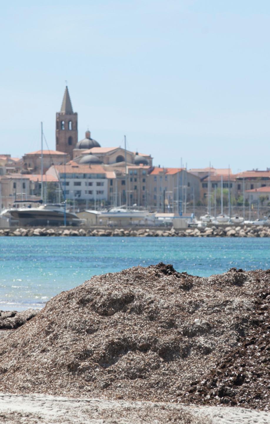 Rimozione posidonia, in 4 a processo 