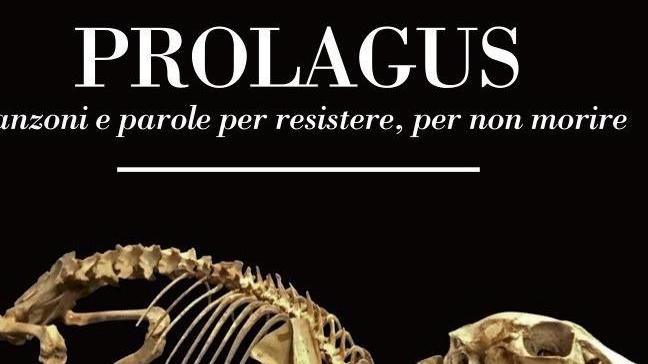 Prolagus, cantzones pro resìstere
