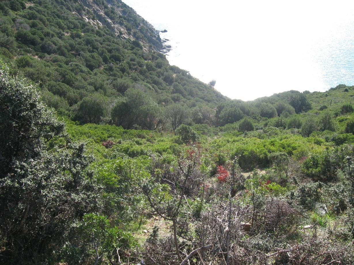 La campagna di Solanas dove la ventenne si è smarrita