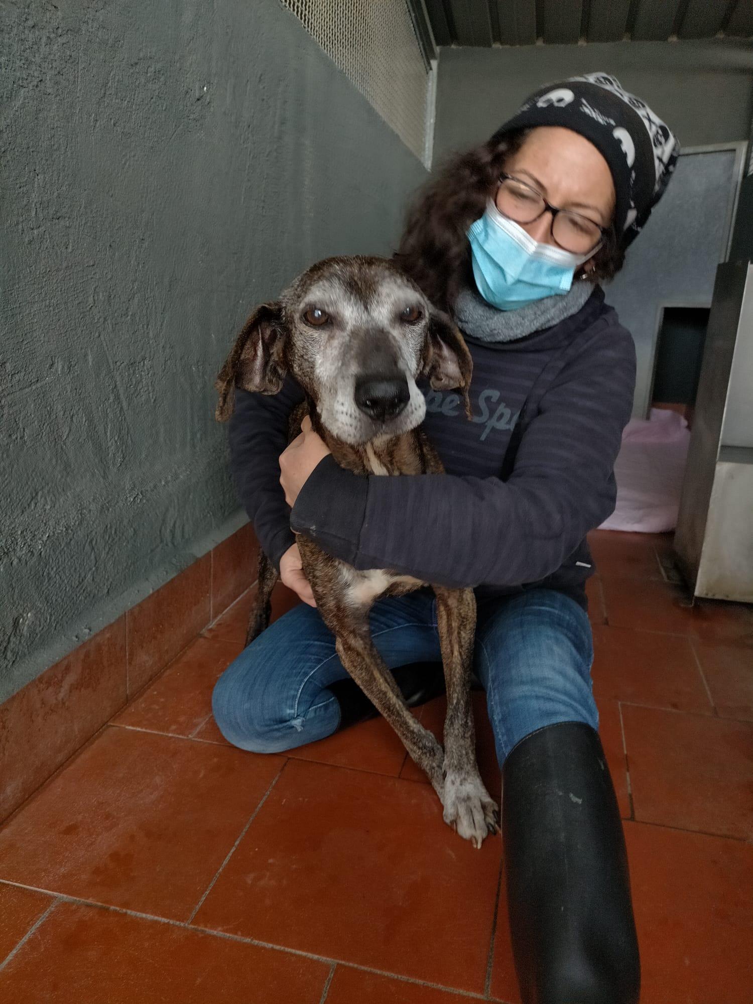 Rocky con una volontaria del canile Hermada