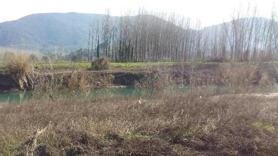 I sacchetti sugli alberi spiegano l’invasione della plastica in mare