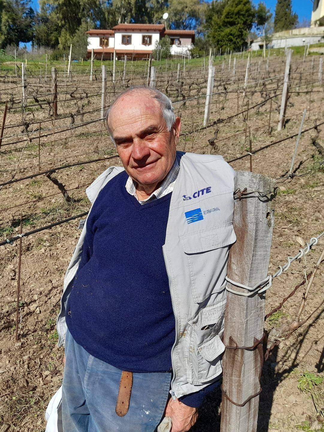 Il vino rosato, risorsa importante per lo sviluppo del territorio