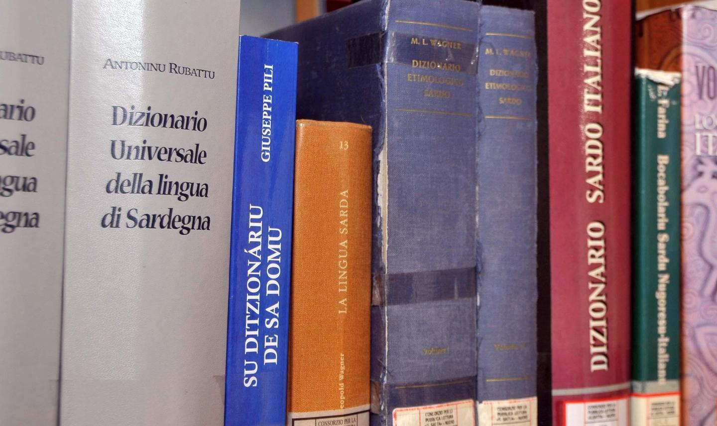 Il bilinguismo perfetto è ancora solo un miraggio 