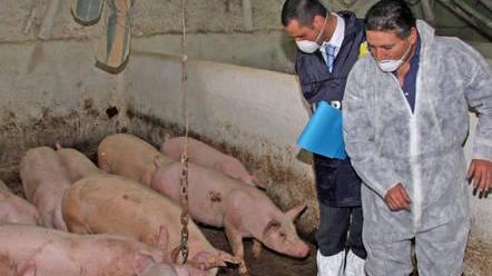 Anche Laddomada via dalla squadra «Non c’erano più le condizioni»
