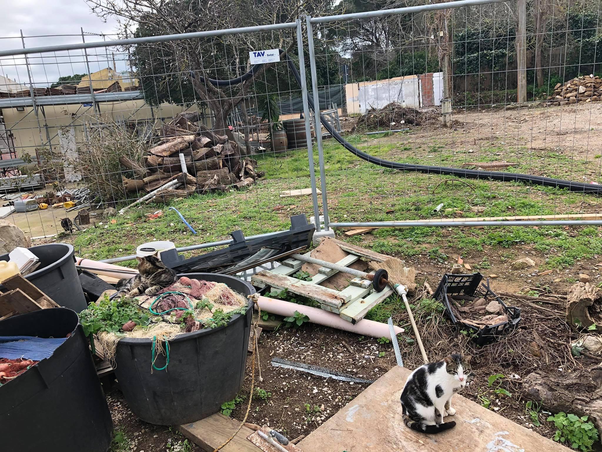 Cucce da esterno non ci sono più e i gatti sostano tra le ceste piene di vecchie reti di pescatori, residuato di qualche pulizia di antichi magazzini e, tra la legna, all’interno delle mura del ristorante, mentre proseguono i lavori tra il ristorante la Pergola e le costruzioni confinanti verso il porto