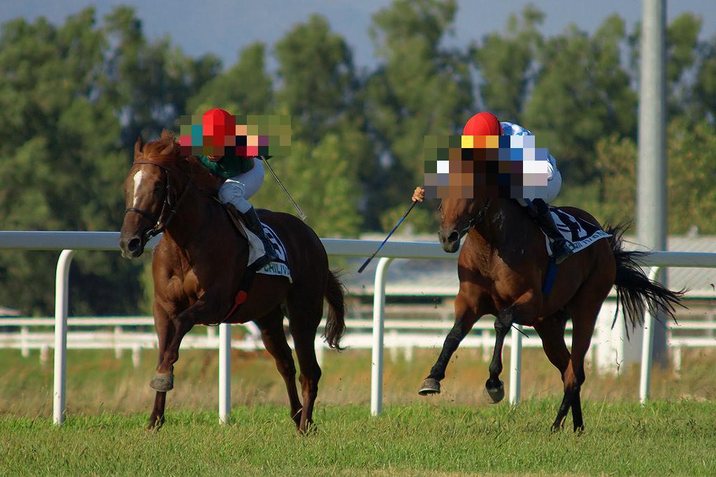 Una corsa di cavalli a Chilivani, immagine di repertorio